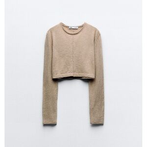 Zara Tan Long Sleeve Crop Top